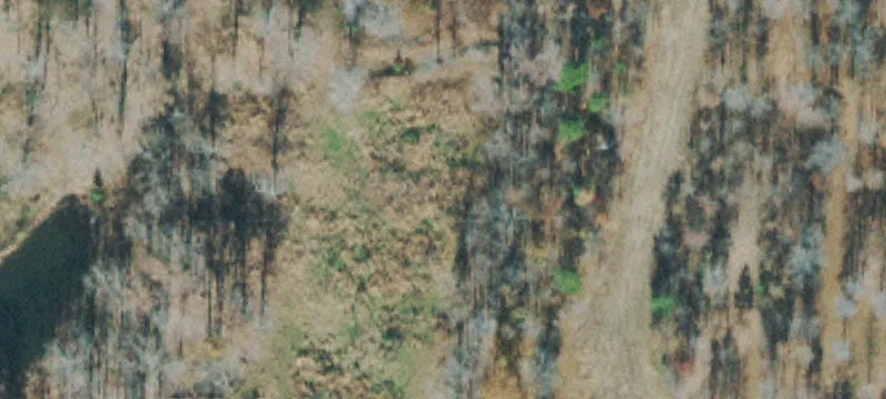 Flatwood Rd
