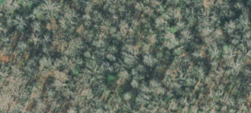 Scott Hwy
