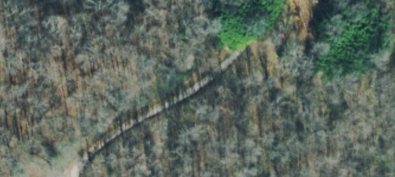1300 Narrows Of The Harpeth Rd