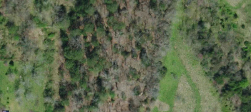 Cottage Dr