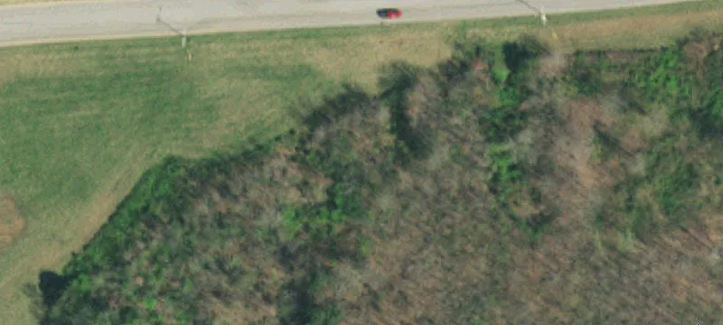 Sharon Dr