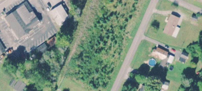 Rankin Ave