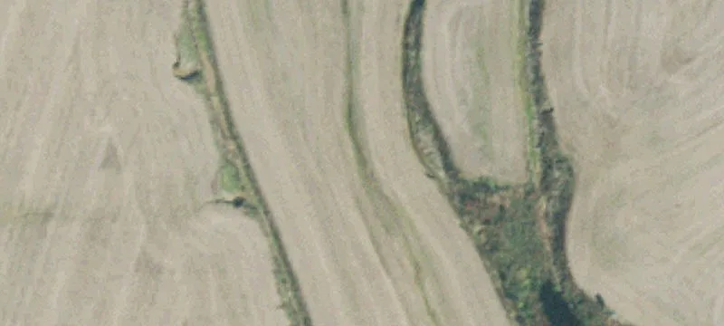 45 Ward Rd