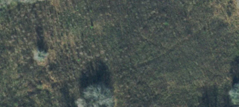 Luyben Hls Rd