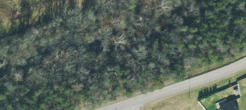 Jim Warren Rd