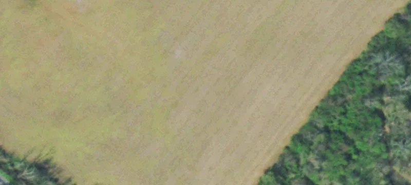 234 County Rd 372