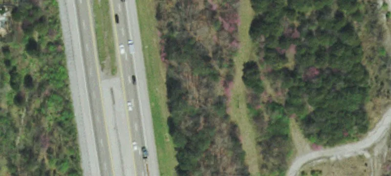 Hollyhock Ln
