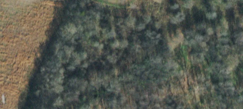 Horton Hwy