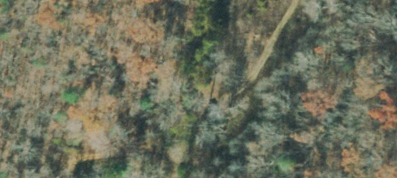 Anthony Rd