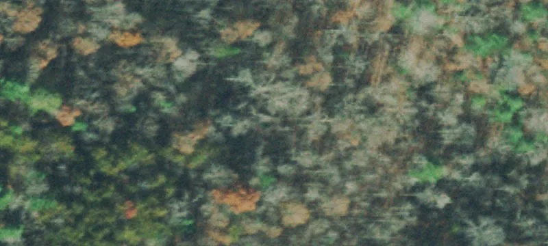 2547 Deer Ldg Hwy