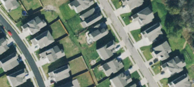 Vinemont Dr