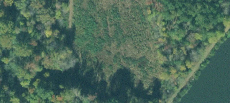 Red Sulphur Rd
