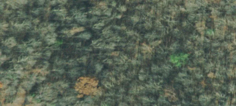 Wolf Crk Rd