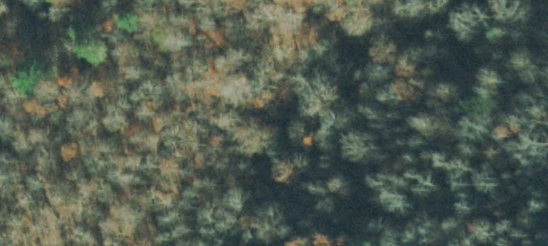Grassy Knob Rd