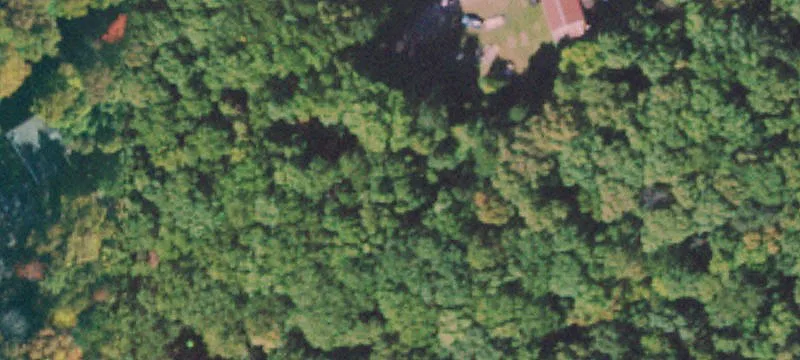 520 Fish Br Rd