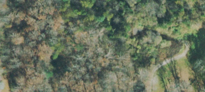 Paint Rock Rd