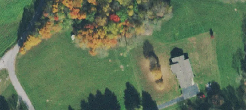 Locust Ln