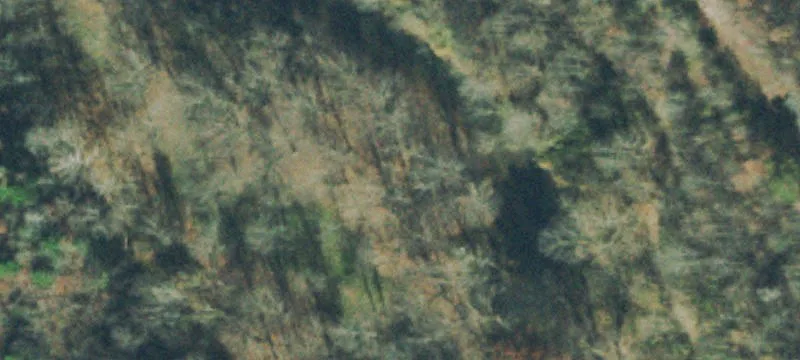 Sawmill Rd