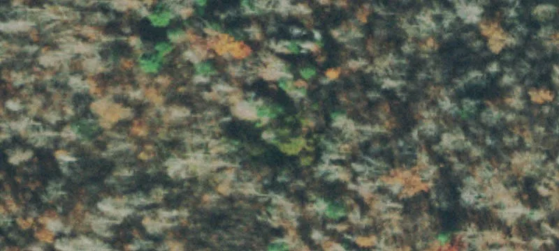 Helenwood, TN 37755