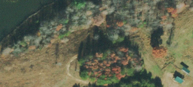 Coal Hl Rd