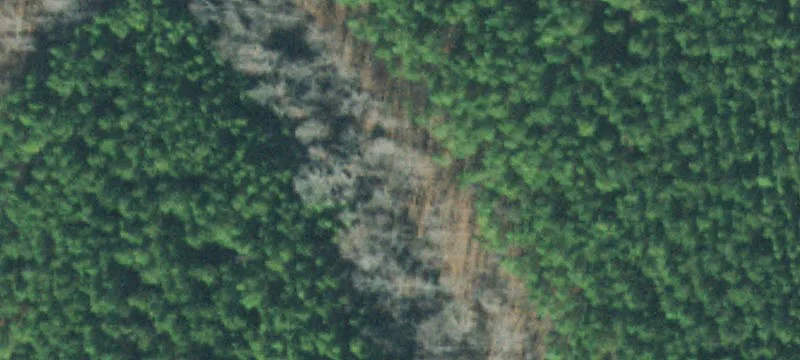 Ss Curv Rd