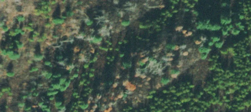 Nydeck Rd
