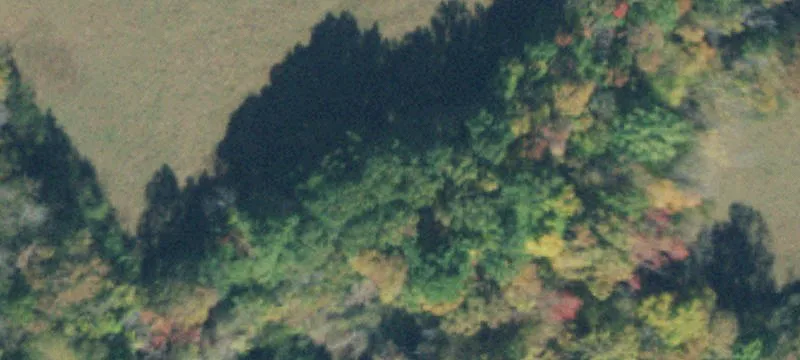 Us 41