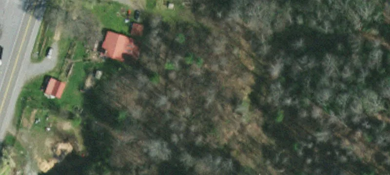 5925 Hwy 19th E