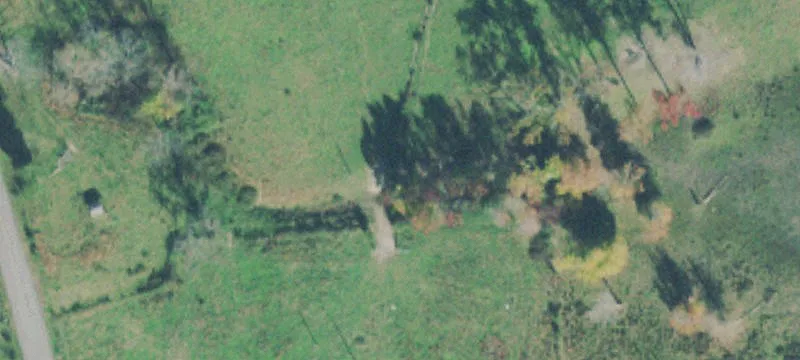 187 Worley Loop