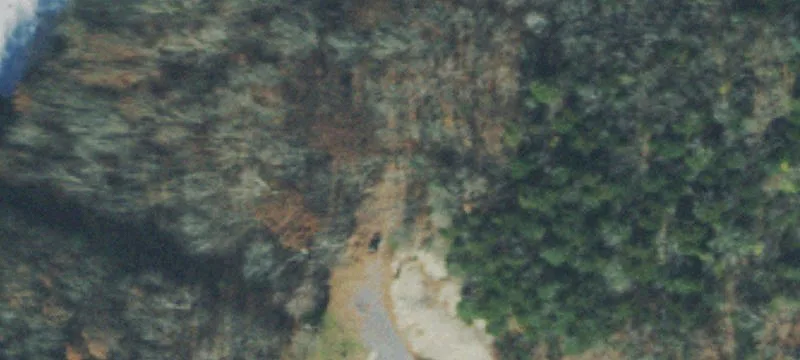1215 Louisville Hwy