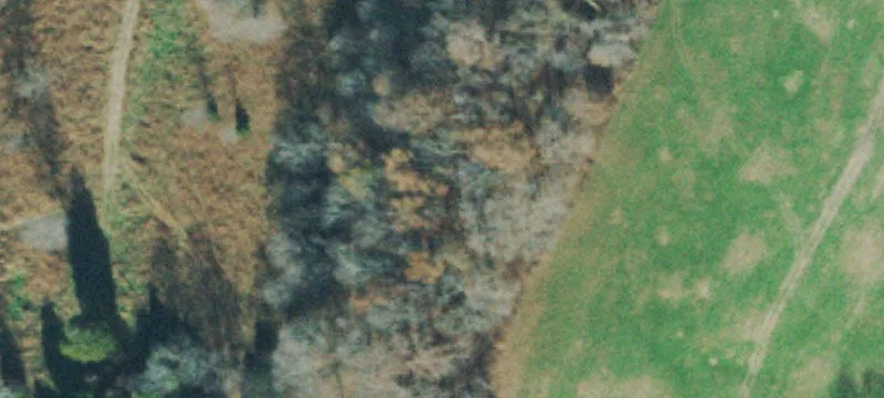 3200 Hwy 46