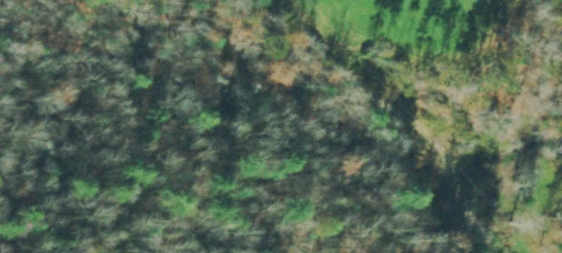 Loop Rd