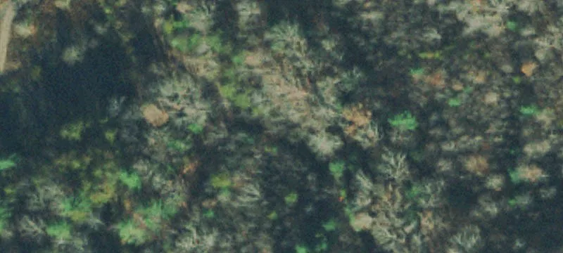 Indian Frk Rd