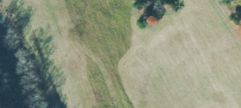 Nick Rd