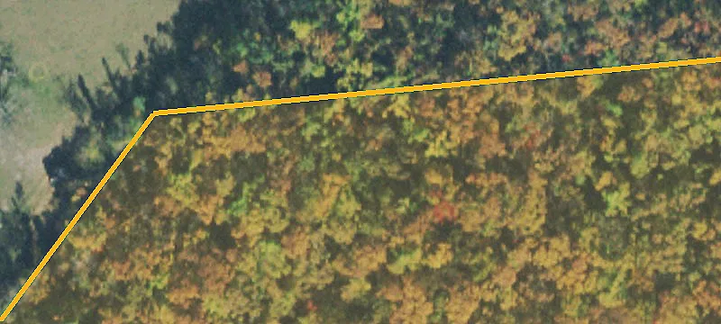 750 Oakley Allons Rd