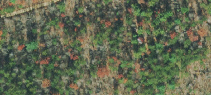 3585 Campground Rd