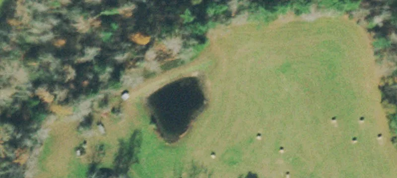 110 Peters Frd Rd