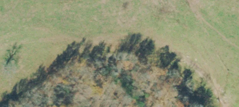 Cedar Grv Rd