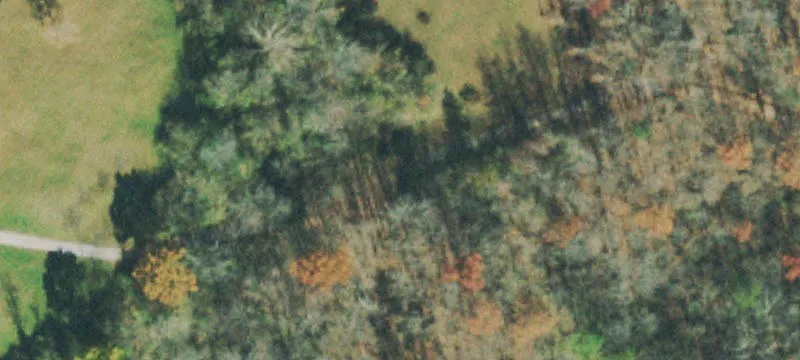 Helenwood Detour Rd