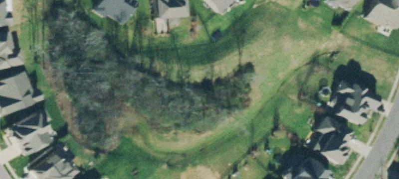 Paddock Park Dr