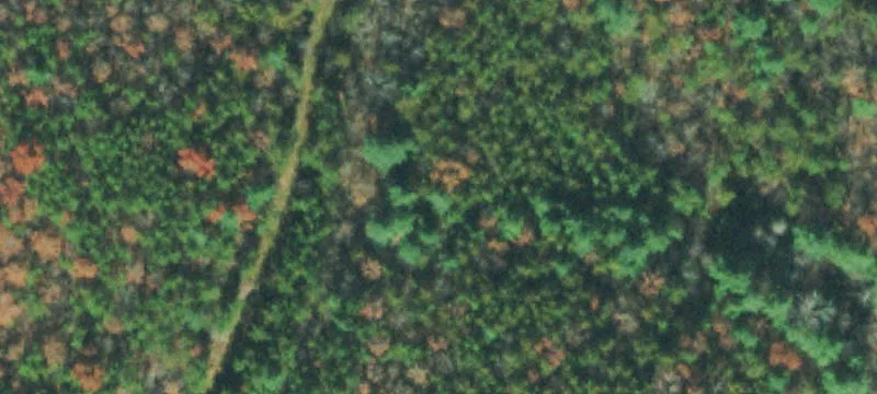Brewstertown Rd