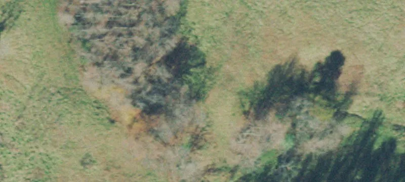 Cedar Grv Rd