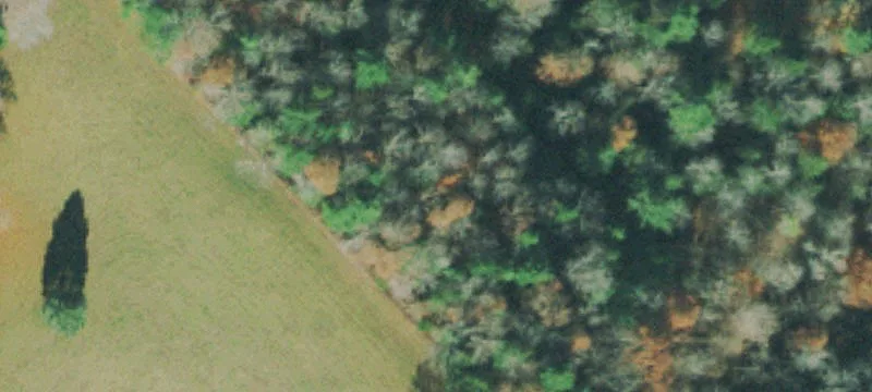 822 Rdg Rd