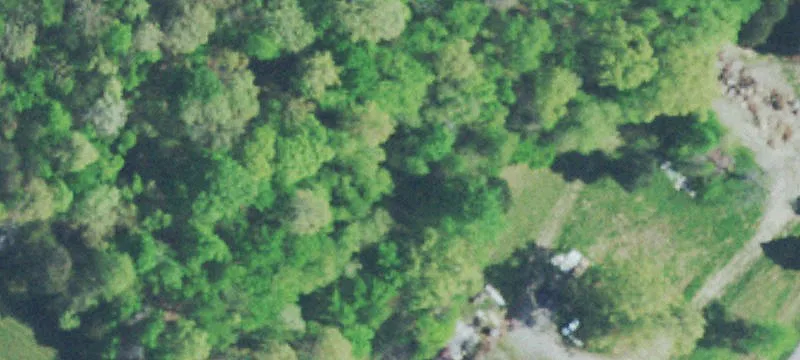 45779 Us 127