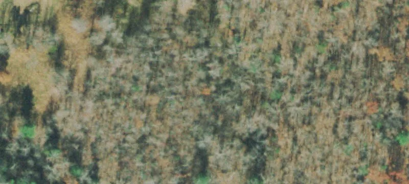 Nydeck Rd