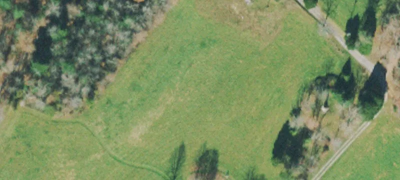 Reid Watson Rd