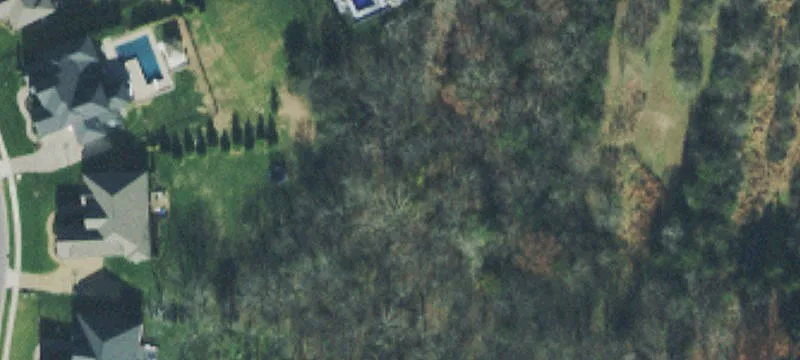 Holstein Dr