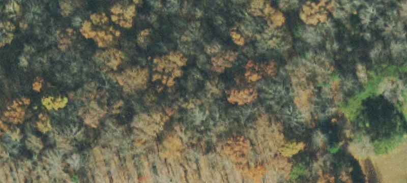196 Hillside Dr