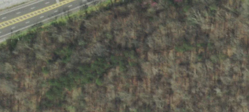 3042 Clinton Hwy