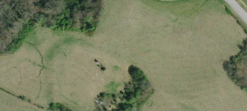 401 Lynn Rd